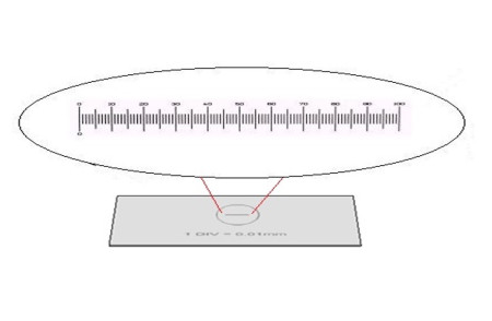 LAMINA PADRÃO PARA MICROSCÓPIO